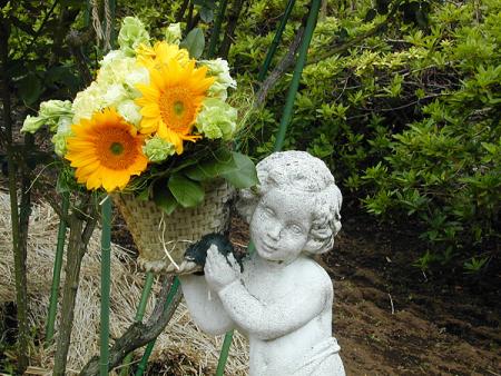 un changement ....!?